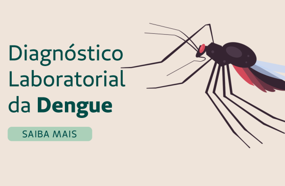 Capa dengue - médicos